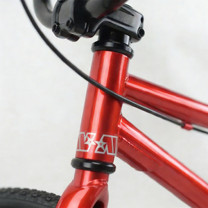 Vélo de course <span class=keywords><strong>BMX</strong></span> Freestyle à vitesse unique en acier de haute qualité, 20 pouces, pour enfants et adultes, en alliage d'aluminium, prix bas, stock usine - Product Image 6