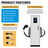 22kW*2 GB/T Tipe1/Tipe2 Dual Gun AC EV Charger Komersial RFID 44KW Stasiun Pengisian Daya WiFi 4G Aplikasi OCPP 1.6J IP55 Bersertifikasi CE Baru