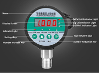 Hanke HK-YS810 Intelligent Digital Pressure Controller 0.1%FS Precision -0.1~100MPa Range Black Housing M20*1.5 Thread