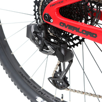 Bicicleta de Montaña de Carbono de Alto Módulo con Eje Pasante Boost, Amortiguador Trasero de Aire, Neumáticos Maxxis, Servicio de Pintura Personalizada para Carreras de Montaña Amateur