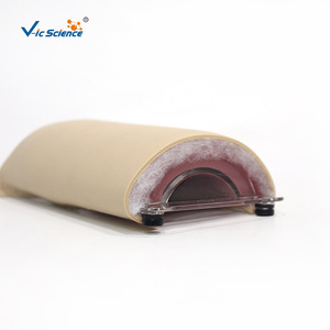 Modèle de peau humaine simulée pour usage médical, avec couches claires, durable et adapté à la pratique des incisions chirurgicales. - Product Image 1