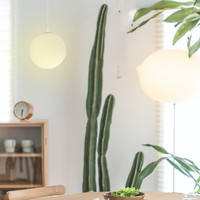 Abat-jour décoratif personnalisé de globe de boule en verre de Borosilicate G9 clair de double couche avec la soie interne en verre