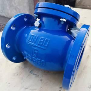 Nóng bán gang DIN cơ thể ggg50 DN50--DN600 Swing kiểm tra van không trở lại đôi Mặt bích kết nối PN10/16/25 cho fulid - Product Image 5