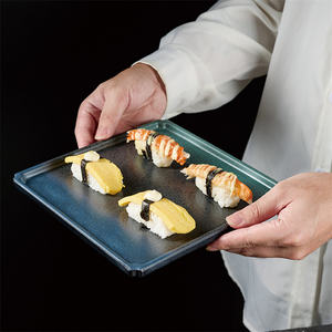 Harmonie Nieuwe Moderne Japanse Vierkante <span class=keywords><strong>Melamine</strong></span> Plaat Schotel Japandi Stijl Voor Sushi En Steak Diner Eigentijds Design - Product Image 4