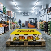 Boîte à fruits en plastique ondulé PP 4 mm 600x400x250 mm avec trous de ventilation pour la vente en gros, OEM ODM disponible