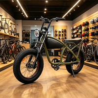 Vélo électrique OEM de 20 pouces de style vintage avec pneus larges pour les programmes de marques privées