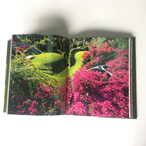 Stampa di Libri Fotografici con Copertina Rigida Personalizzata di Alta Gamma, Stampa in Lamina d'Oro, Colori di Qualità Museale, Perfetto per Arte e Fotografia - Product Image 4