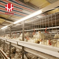 Cage à poulets de chair de type H, cage à batterie pour poulets de chair à 3 niveaux avec plancher en plastique à lattes, alimentation automatique, certifiée CE