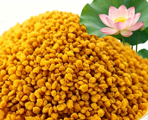 Polline d'Api di Loto Naturale, Polline Monorigine ≥90%, Proteine ≥20%, Umidità ≤8%, Materia Prima Commestibile di Polline Arancione-Giallo - Product Image 1
