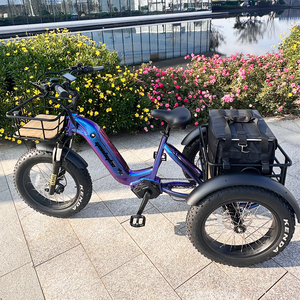 Tricycle électrique cargo robuste sans balais pour adultes, 250W, batterie 48V 15Ah, 7 vitesses, freins à disque hydrauliques, charge stable - Product Image 1