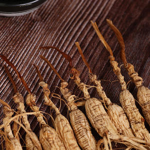 Kotak Hadiah <span class=keywords><strong>Ginseng</strong></span> Putih Tumbuh di Hutan Grosir 10 Akar 50g Dari Gunung Changbai OEM - Product Image 6