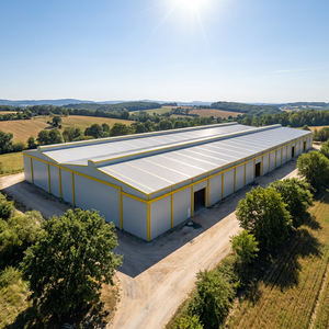 Entrepôt préfabriqué en structure métallique économique - Bâtiment à ossature métallique simple pour usage industriel - Product Image 1