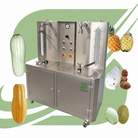 Hoge capaciteit kokosnoot- en groente- en fruitenschilmachine 1100W motor 100-400 stuks/uur voor commerciële verwerking