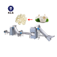 KLS Smart Automatisch Knoflook- en Fruitverwerkingsysteem Hoge Capaciteit Energiebesparende Geïntegreerde Was-, Schil- en Snijlijn