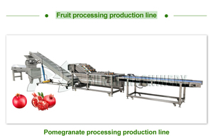 Linea di Produzione Professionale per Succhi di Frutta Fresca: Macchina per Succhi di Soursop, Papaya e Guava - Product Image 6