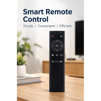 Télécommande vocale haute performance avec garantie de 12 mois, 12 touches, noire, recherche vocale, clavier universel en silicone, apprentissage intelligent