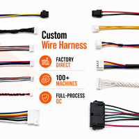 Conector JST SH GH ZH PH XH Molex Dupont SUR, Conjunto de Cables con Arnés, Paso de 0.8-2.54mm, 1-40 Pines, Personalizado para Computadora y Motocicleta