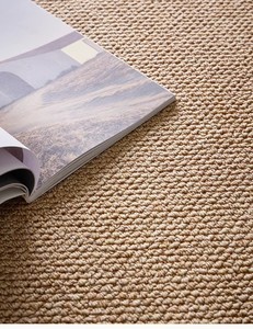 Tapis moderne absorbant l'eau fabriqué à la machine Tapis de porte tissé bon marché d'usine de taille personnalisée pour le sol de la maison ou le salon - Product Image 5