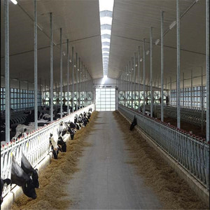 Casa Prefabricada de Estructura de Acero Ligero para Establos de Vacas <span class=keywords><strong>con</strong></span> Diseño de Casa de Campo - Product Image 6