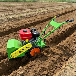 Motoculteur compact 170F à essence pour l'aération des sols maraîchers, <span class=keywords><strong>entretien</strong></span> simple - Product Image 3