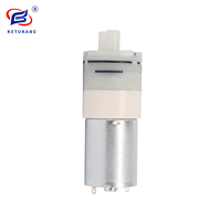 Mini pompe à eau 370pump Worm DC 6V 12V 24V, pompe à diaphragme avec interrupteur de pression, ensemble solénoïde incluant un moteur 370