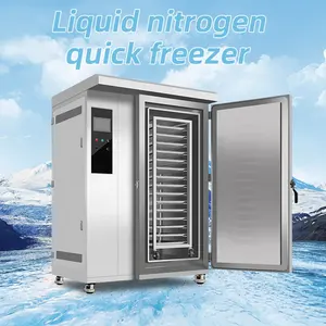 Prezzo di fabbrica congelatore ad azoto liquido Iqf macchina per congelatore ad urto istantaneo veloce macchina per congelamento rapido di pesce da 5 tonnellate abbattitore