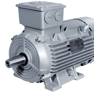 Moteur à induction série 1LE0 IE3 0,55 kW~315 kW 50 Hz/60 Hz avec cadre en aluminium triphasé IE3-1LE Innomotics Ie3 - Product Image 3
