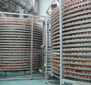 Nieuw Ontwerp Grote Capaciteit Food Grade Spiraalvormige Vriezer Voor Pizza/Brood/Koekjes Pizza Koeling Spiraal Transportband - Product Image 4