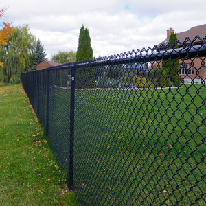 Giá Rẻ Chuỗi Liên Kết Hàng Rào Lưới Nhân Tạo Hàng Rào Trang Trại - Product Image 2