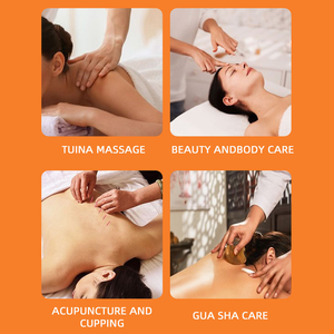 Adjustable Height Massage <b>Table</b> Wood Frame 2 Section <b>Folding</b> Therapy Bed for Spa Clinic Tattoo Salon - Product Image 4