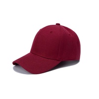Gorra de Béisbol Deportiva Unisex Personalizada de 6 Paneles, 100% Algodón Jersey, Transpirable, Impermeable, con Patrón de Frutas Bordado en 3D, Color Plata Cobre