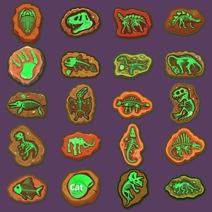 20 autocollants fosforescents de dinosaures, squelettes d'animaux préhistoriques, <span class=keywords><strong>ammonites</strong></span> rétro, amusants, imperméables, lumineux et décoratifs - Product Image 4
