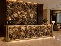 Plaque de pierre polie en agate de bois pétrifié pour panneau mural de réception d'hôtel et surface de table basse ronde sur mesure