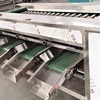 Automatische roller sorteermachine voor citroenen, uien, kersentomaten, wortelgroenten en andere groenten op basis van maat.