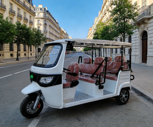 Vente flash : Tricycle à 6 places, rickshaw, tuk-tuk avec <span class=keywords><strong>ceinture</strong></span> <span class=keywords><strong>de</strong></span> <span class=keywords><strong>sécurité</strong></span> et volant, véhicule pour usage <span class=keywords><strong>de</strong></span> <span class=keywords><strong>taxi</strong></span> - Product Image 6