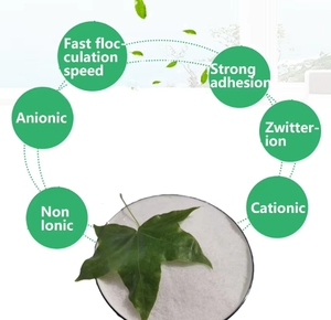 Poliacrilamida Aniónica (APAM) y Polímero Catiónico (PHPA) Coagulante para Minería, Perforación Petrolera y Refinación de Azúcar - Product Image 5