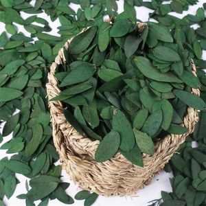 1 kg de Hojas de <span class=keywords><strong>Eucalipto</strong></span> <span class=keywords><strong>Azul</strong></span> Bebé/<span class=keywords><strong>Eucalipto</strong></span> de Hoja Estrecha, Hojas Puras Naturales 100% para Confeti de Boda y Otras Ocasiones - Product Image 1