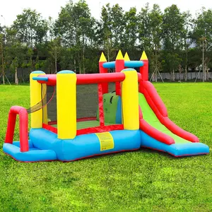 Desain Penjualan Terbaik Anak-anak Pesanan Khusus Dokter Lumba-lumba Grosir Brincolines Tiup Bouncing Castle Bouncing