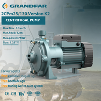 GRANDFAR 0.75kw 1hp Pompe à eau électrique centrifuge de surface Escargot Pompe centrifuge à double lame à grand débit et à circulation