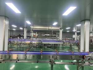 Nuevo Esterilizador Automático para la Industria Alimentaria con <span class=keywords><strong>Autoclave</strong></span> para Enlatado, Acero Inoxidable 304, Uso Agrícola - Product Image 6