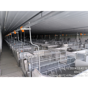 Vietnam Manufacturer's Stainless Steel Pig Farrowing <b>Crate</b> Condition Animal Hot Sale for Rabbit Use - Product Image 1