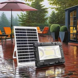 Luces Solares LED para Jardín, Exteriores, Impermeables IP65, con Panel Solar y Cuerpo de Lámpara de ABS - Product Image 3