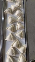 Petite Machine Automatique Électrique 110V 220V pour la Fabrication de Tortellinis, Samosas et Dumplings, Façonneuse à Empanadas et Sambousas