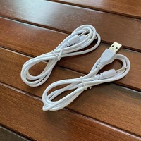 Câble de chargeur DC de remplacement Cantell 1 mètre USB vers jack mono 2,5 mm pour vibrateur