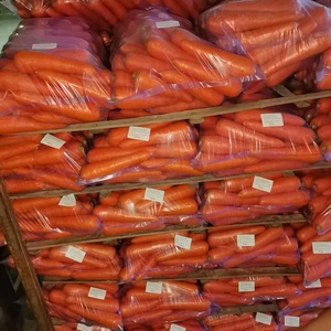 Yeni mahsul temiz havuç büyük boy taze havuç 50lbs/plastik torba çin'den - Product Image 1