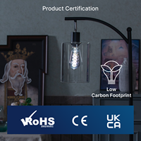 Bon marché Usine 220V E27 Rétro Edison ST58 Spiral Ampoule 5000K Lumière du jour 4W LED Corps en verre pour usage résidentiel Certifié CE