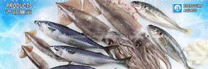 Caballete Local Congelado en Bote 200-300g Capturado en Aguas Profundas, Congelado en Bote Fresco, Grado de Exportación - Product Image 3
