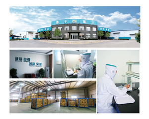 <span class=keywords><strong>TAIDO</strong></span> Planche à gratter pour chat en carton sûre et sans pollution pour arbres à chat et griffoirs - Product Image 4