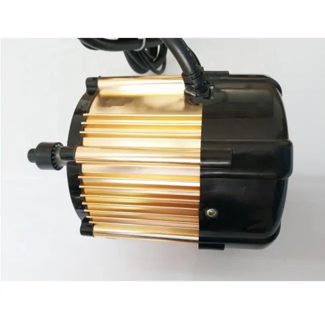 Toppower 3000rpm Stable High Efficient 48 Volt Bruless DC Motor For Amercia