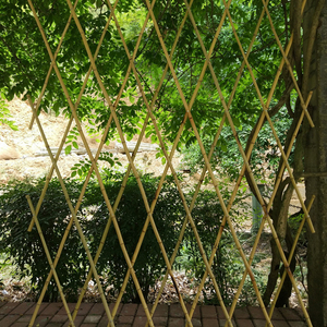 Bâtons de <span class=keywords><strong>bambou</strong></span> naturels bruts pour le jardin, support de plantes, décoration, respectueux de l'environnement, longueur 300 cm, couleur naturelle - Product Image 5